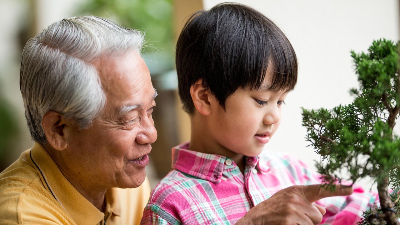 爷爷和孙子在看风景树；图片用于照顾您的家庭页面